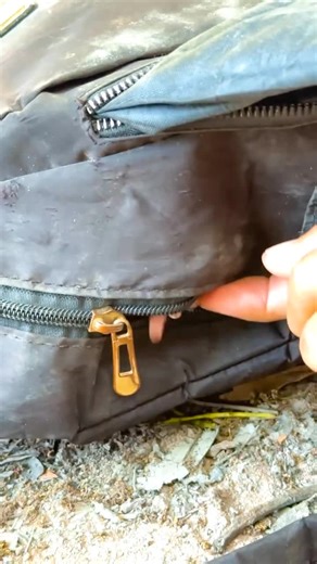 Playful Baby Monkeys in a Bag: Adorable Moments