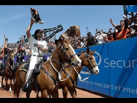 Madison Bumgarner's Pitching Repertoire