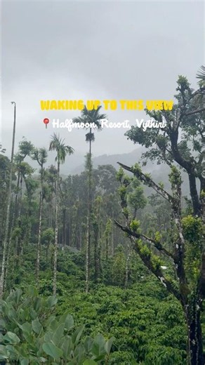 Stay at Half Moon Resort by Z vacation, Vythri, Wayanad