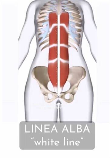 Discover Body Alignment Somatic Healing Techniques