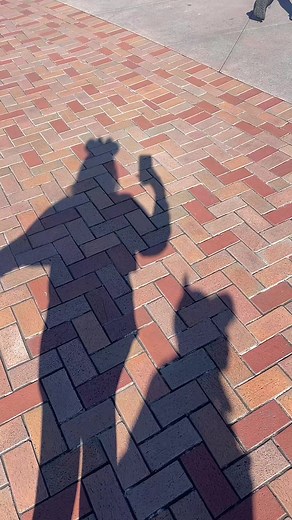 Exploring Disneyland in California: A Magical Adventure