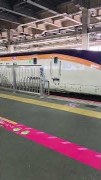 #大宮駅 #新幹線 #東北新幹線 #OmiyaStation #Shinkansen