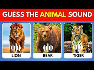 Guess the Animal by the Sound 🔊🦁🐼 | Animal Sounds Quiz