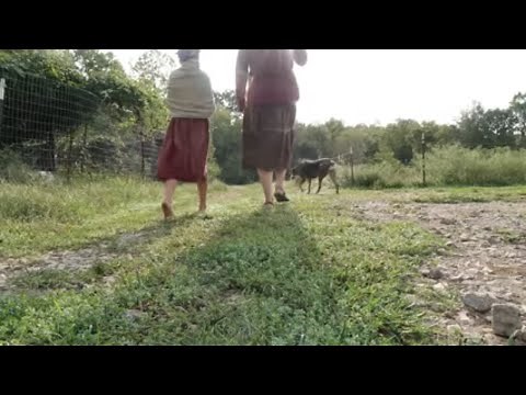 Our Journey To A More Simple Sustainable Life ( collaboration with Little House On The Mountain )