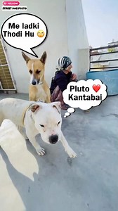 Pluto Bana Kantabai Street Dog Pluto @topfans #411 #street_dog_pluto #streetdogpluto #dog #reels #pet #dogtraining #cat #dogs #cats #viral | Street Dog Pluto