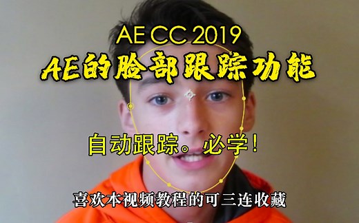 【AE教程】脸部自动跟踪功能