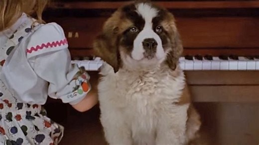 Ce soir en famille : dans les années 90, pratiquement tous les enfants ont grandi avec cet adorable film