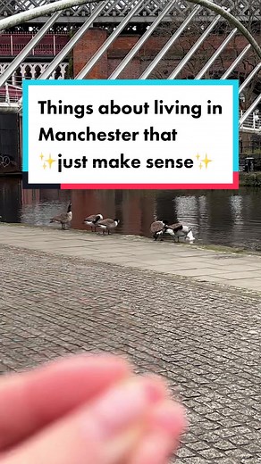 Living in Manchester: Things That Just Make Sense