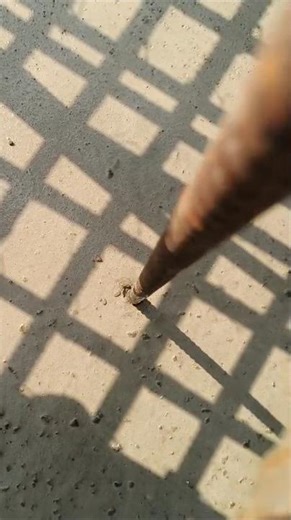 Construction Joint Testing. #construction #concrete #civilengineering #sitework #testing #civilsite