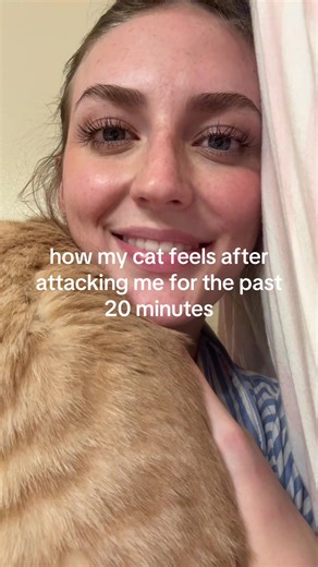 Cuddly Cat's Aftermath: The Post-Attack Recovery
