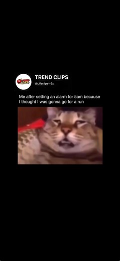 Setting an alarm means choosing a specific time for a device … ⬇️. #memes #foryou #funny #usa