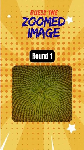 Guess What This Is Before the Reveal! #shorts