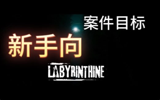 【Labyrinthine】案件目标攻略