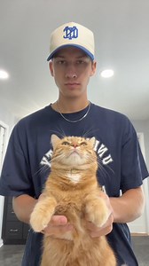 15K views · 631 reactions | Kurt 欄oxygen #cats | Abram Engle | Facebook