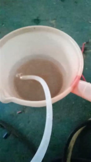 PEM Electrolysis Test – Compact Hydrogen Generator (Prototype)