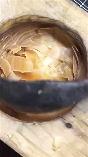 cutting and making a hole in a tree trunk #shorts #youtubeshorts #trending #viral