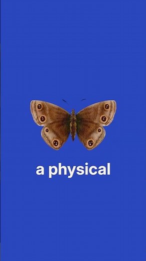 The First Computer “Bug” Was an Actual Moth (Grace Hopper, 1947)