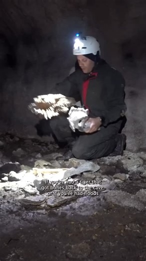 American Museum of Natural History on Instagram: "To predict how patterns of rainfall and drought might change in Angola, scientists went to an unexpected place: caves. This #ClimateWeekNYC, join Museum scientists Nathalie Goodkin and Nikita Kaushal as they journey deep into a cave to sample stalagmites to discover what their layers can tell us about past climate in this region. The Constantine S. Niarchos Expedition featured here was generously supported by the Stavros Niarchos Foundation (SNF)
