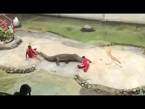 crocodile eat woman