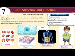 Cell:Structure and Function| Ch-7|Class -8|Part-1