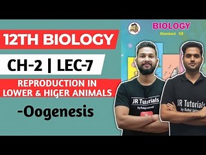 12th Biology | Chapter-2| Reproduction in Lower & Higher Animals | Lec 7 | Oogenesis |