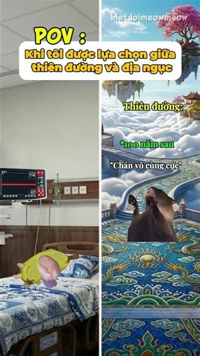 Bạn thích ở địa phủ hay thiên đường #funny #vuive