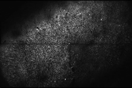 Expanded view of hippocampal function comes into focus