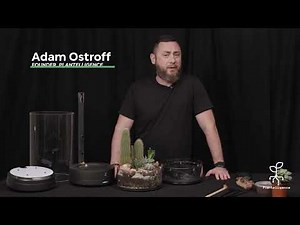 ARK setup and features