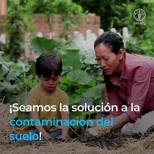 7 cosas que puedes hacer para detener la contaminación del suelo...