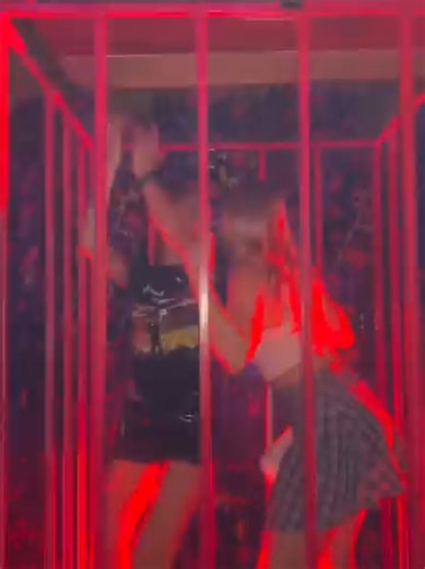 Embracing Fun in the Nightclub Cage