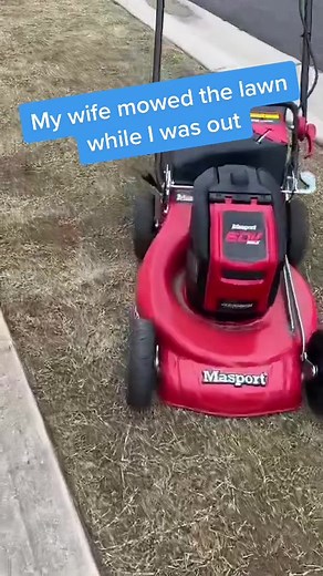 Expert Lawn Care Tips and Tools for a Perfect Garden