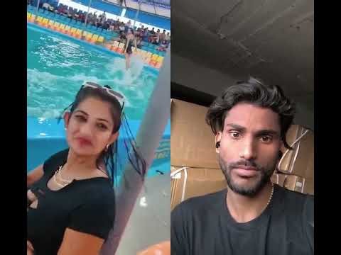 Amazing Dolphin Show Experience 🐬 | Stunning Dolphin Performance Live | Must Watch Sea World Show