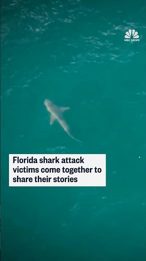 Florida shark attack victims come together to share their stories
