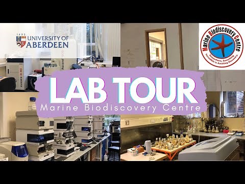 LAB TOUR // Marine Biodiscovery Centre @ University of Aberdeen | My PhD and Me