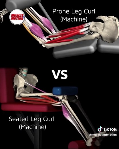Seated vs. Prone Leg Curls: Maximizing Hamstring Muscle Growth Interested in expanding your knowledge about evidence-based exercises and understanding their distinctions? Check out our STRENGTH TRAINING APP link in bio! #Hamstring #HamstringsHypertrophy #SeatedVsProneLegCurl #MuscleGrowth #ExerciseResearch #EvidenceBasedTraining #FitnessScience #MaximizeMuscleGains #WorkoutSmart #StrengthTrainingApp #muscleandmotion