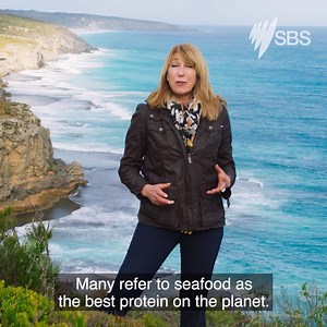 28K views · 439 reactions | Your exclusive first look at the all-new #FoodSafari Water series with @Maeve O'Meara ! Put Wednesday, 1 August 8pm, in your diaries! Get more of taste of what's to come here // bit.ly/FoodSafariWater . | SBS Food | Facebook