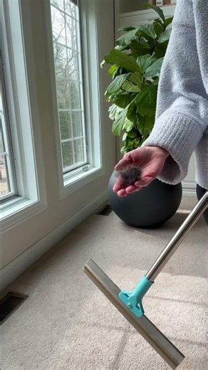 Carpet Rake for Pet Hair Removal