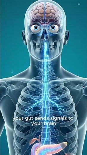 What Happens Inside Your Body When You Take Probiotics Every Day