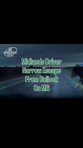 A motorist in the Midlands was seconds from disaster this morning after avoiding a collision with loose cattle on the M6 in Westmeath. County Secretary of Meath GAA Ciaran Flynn, was travelling past the scene when a Bullock jumped the concrete barrier separating the two lanes and landed in front of his car 🐮 Tune into ‘Midlands Today’ tomorrow morning to catch his full reaction 🎙️ #Midlands103News #M6Crash #Cattle #Westmeath | Midlands 103
