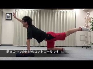 ストレッチポール®ハーフカットだけでできること