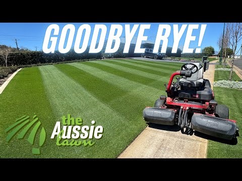 This Rye Grass Lawn Looks PERFECT… But It Has to GO!