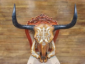 Real Steer Skull | Cow Skulls | Real Steer Skull With Horns | Home Decor | Real Longhorn Cow Skull With Horns | Western Decor | Cowboy Gift - Etsy