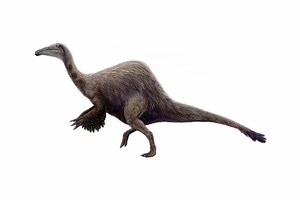 The 10 Goofiest Looking Dinosaurs That Actually Wandered This World