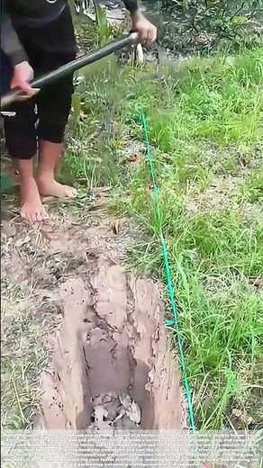 Slicing Soil: The Simple Physics of a Sharpened Shovel