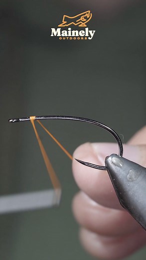 My Favorite FALL Wet Fly!!! This is a variation of the Partridge and Orange, and it’s my favorite to use in the fall for both brook trout and landlocked salmon on my trout spey rod, swinging it through the current. However, that’s just what I use it for here in Maine, and it’s a well-known and successful pattern that I’m sure you can use to catch more species. Good luck fishing this fall, everyone! If you need flies for the season, you can check out my website for flies here (https://www.mainely