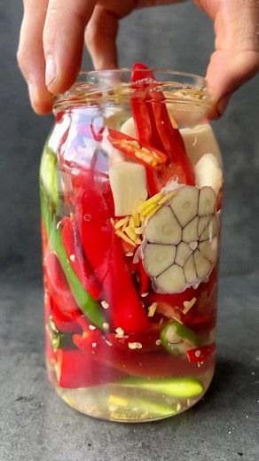 200K views · 5K reactions | Explore fermentation recipes on Recipe...