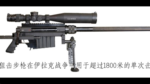 用一分钟来认识一把枪“M96风行者狙击步枪”