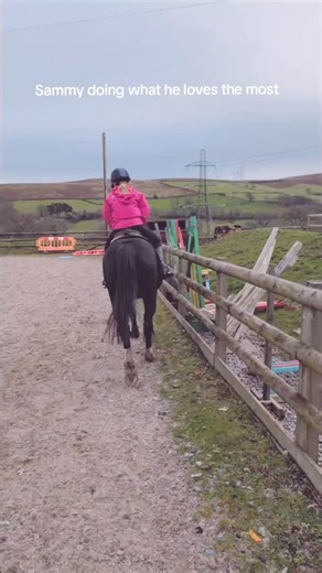 Maggie's Voice on Instagram: "Sammy is 20yo and living his best life, he joined us a while ago, retiring from being a PC and SJ pony to be a part of our bitless riding team ❤️ His transition to bitless has been great and he's just a wonderful boy 🥰 #bitlessjumping #bitlessridingschool #rewardbasedtraining #rewardbasedridingschool #training #positivereinforcement #clickertraining #rewardbasedriding"