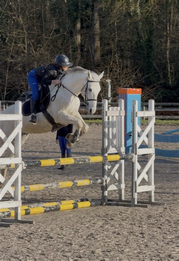Equitation Stage CSO: Unleashing Equestrian Skills