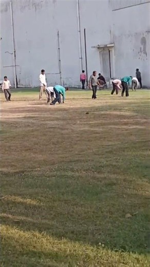 GROUND LEVEL WORK (GROUND READYNESSS)HPL SEASON-4 #cricket #cricketlover #highlights #nonfollowers